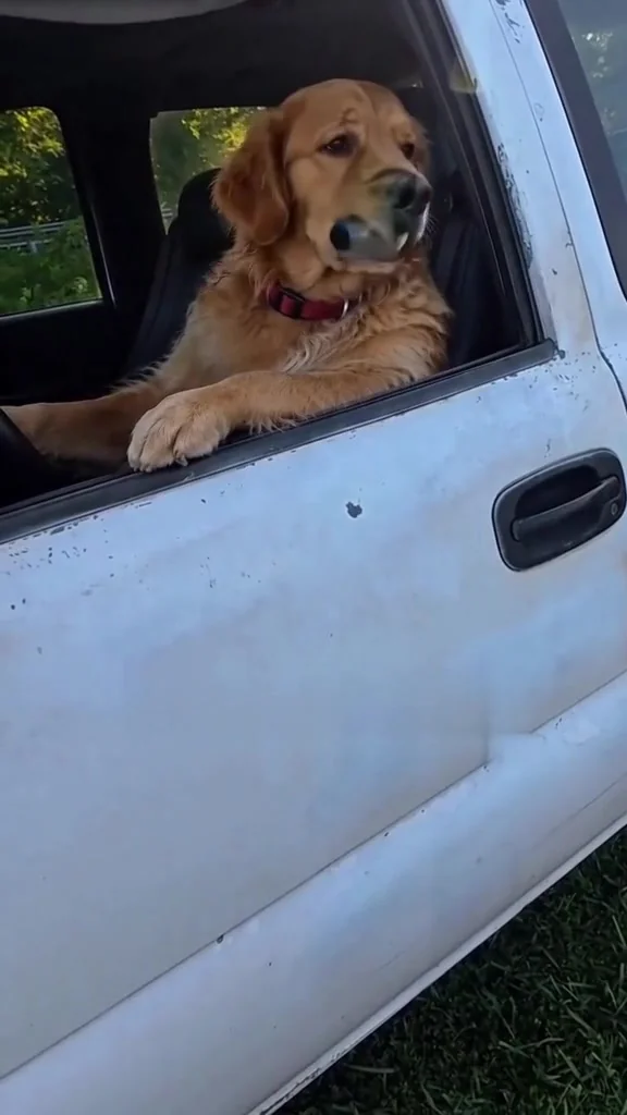 Goldie as the angry truck driver