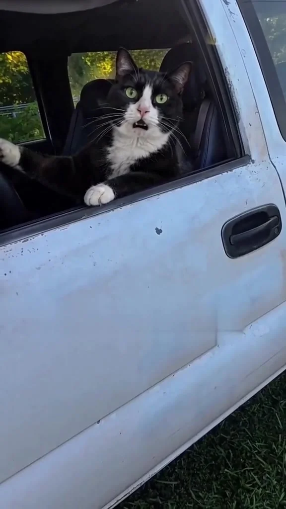 Tux as the angry truck driver